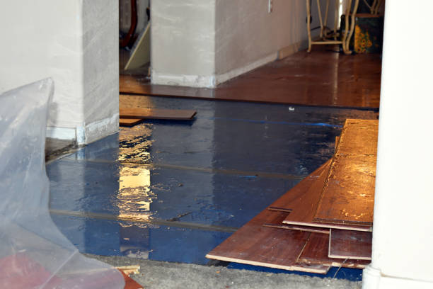 Professional Water Damage Repair technician working in Bailey, TX